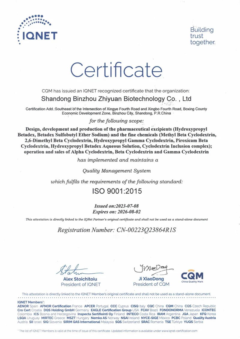 IONET ISO9001 Quality Management System Certificate IONET ISO9001 Quality Management System Certificate